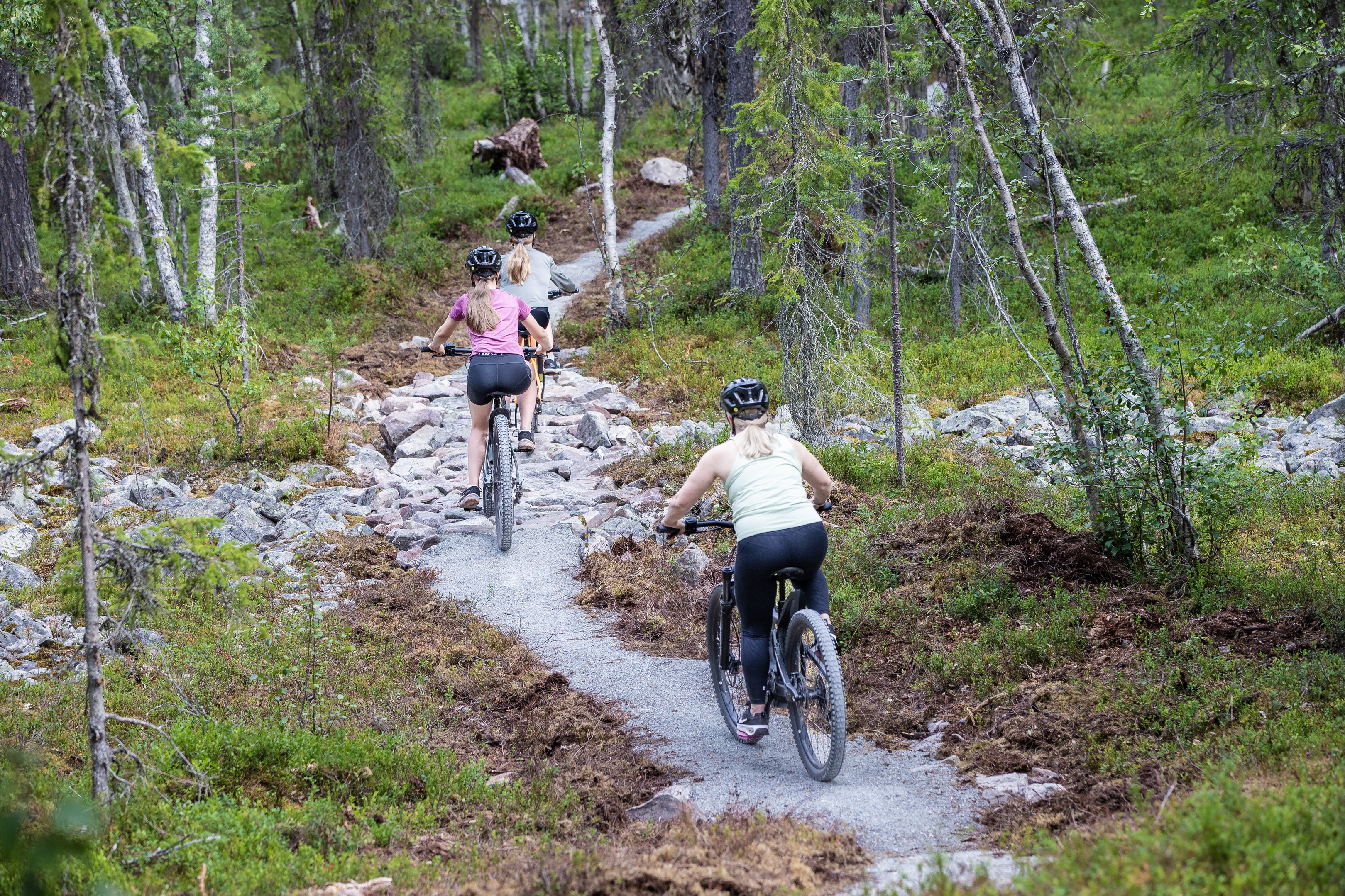 Kuvituskuva, pyöräilijöitä Rakkavaaran Mustikkamaan reitillä.
