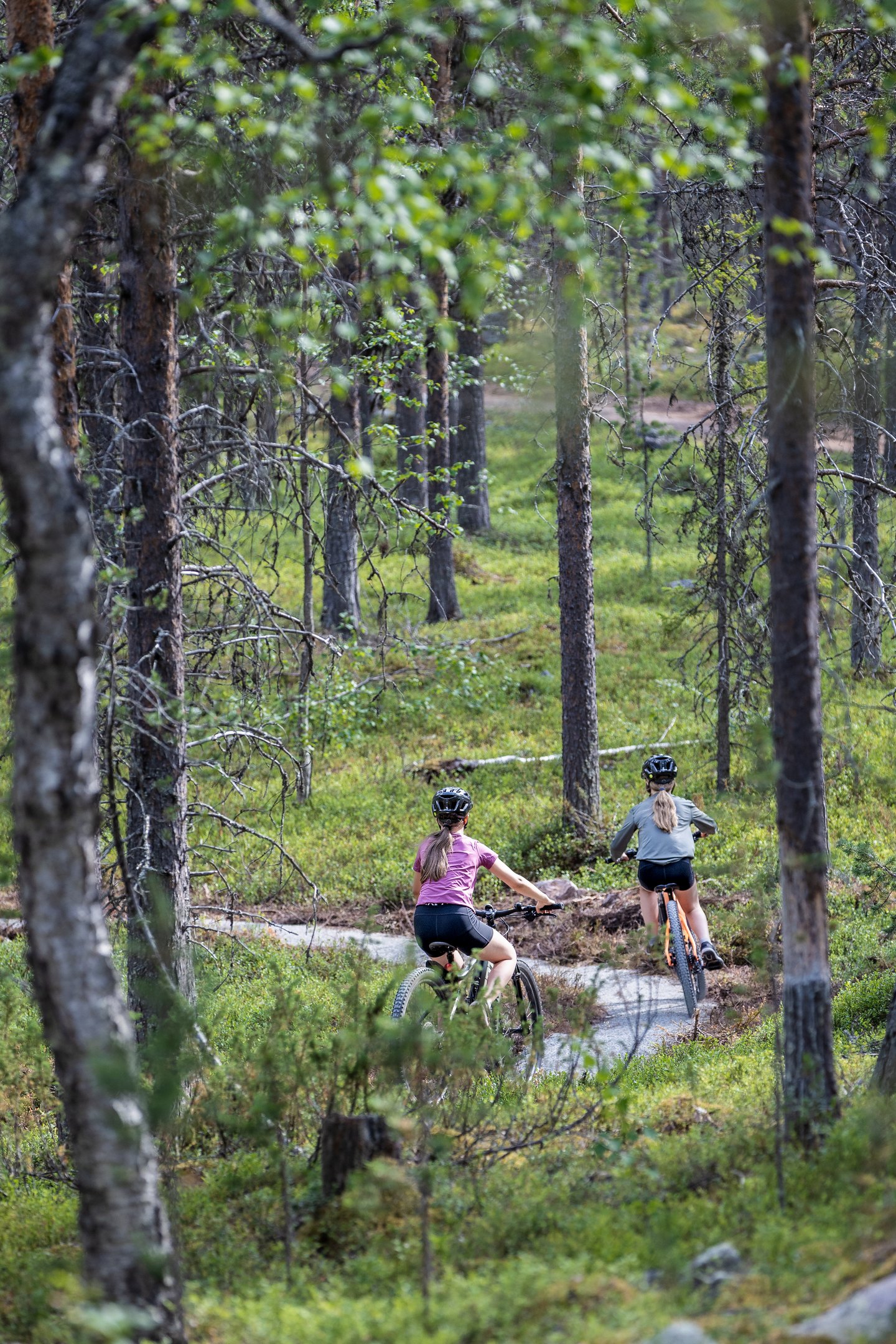 Kuvituskuva, pyöräilijöitä Rakkavaaran Mustikkamaan reitillä.