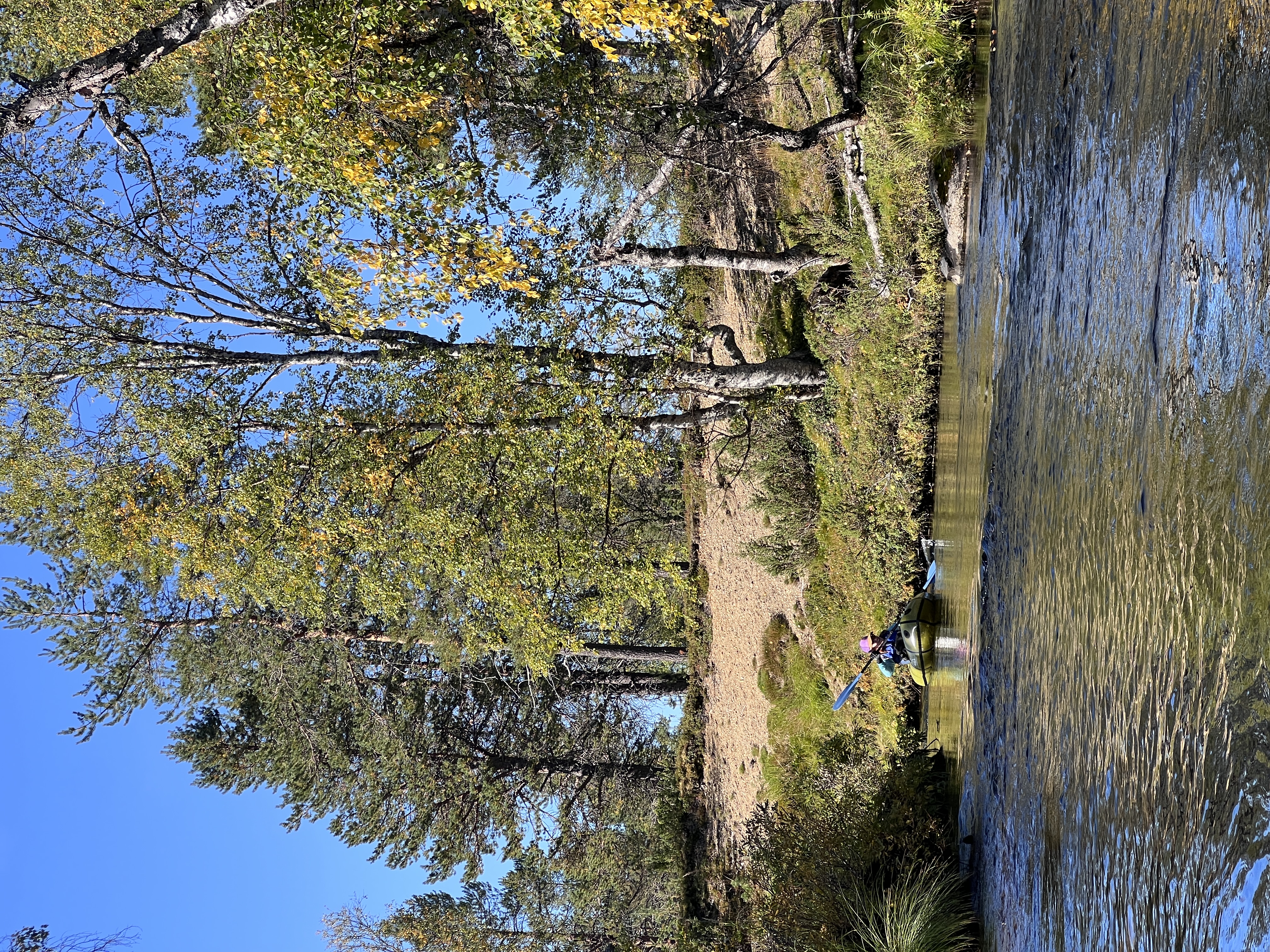 Melojat joella, rantatörmä.