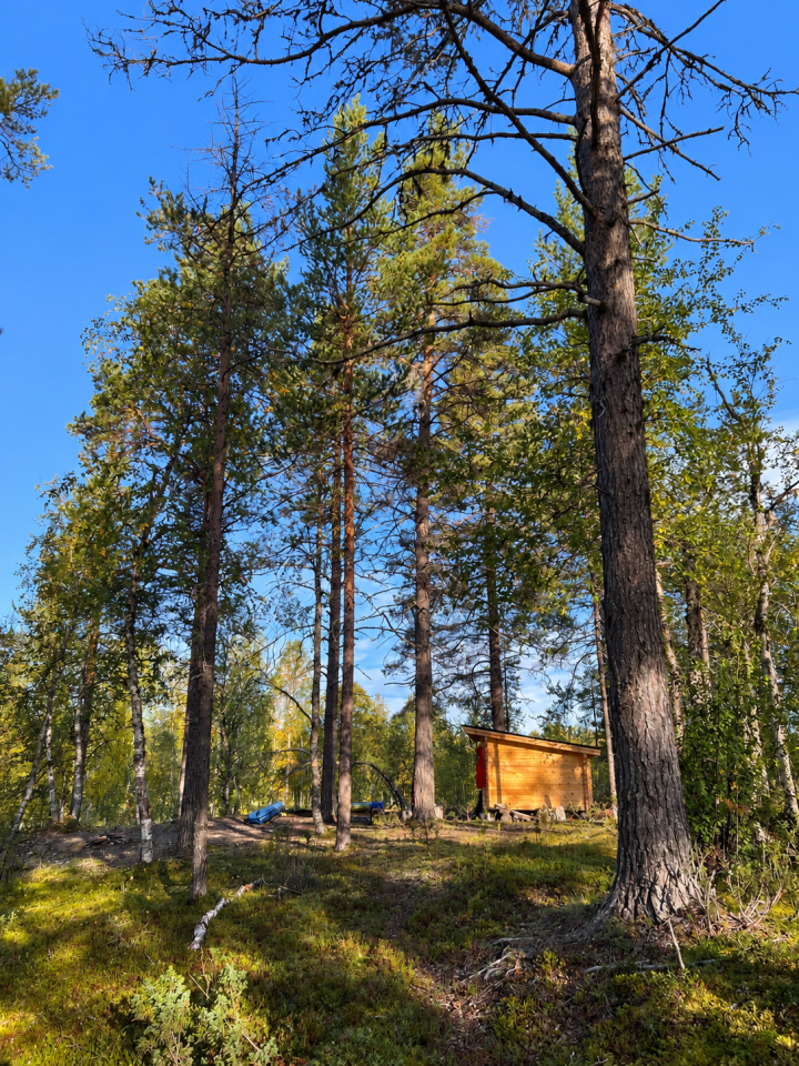 Laavu rantametsikössä