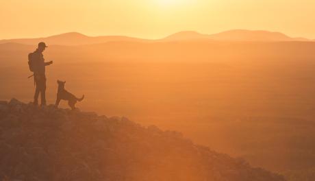 Auringonlaskussa ihminen ja koira tunturissa