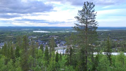 Maisema.