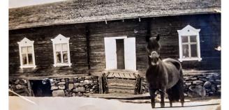 Mäkivaaran talo Alakylässä, talon edessä hevonen