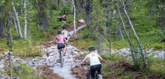 Kuvituskuva, pyöräilijöitä Rakkavaaran Mustikkamaan reitillä.