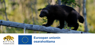 Kuvituskuva, jonka alareunassa Kittilän kunnan logo sekä Euroopan unionin osarahoittama -tunnus. 