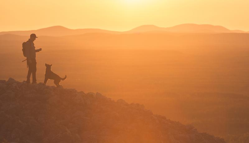 Auringonlaskussa ihminen ja koira tunturissa