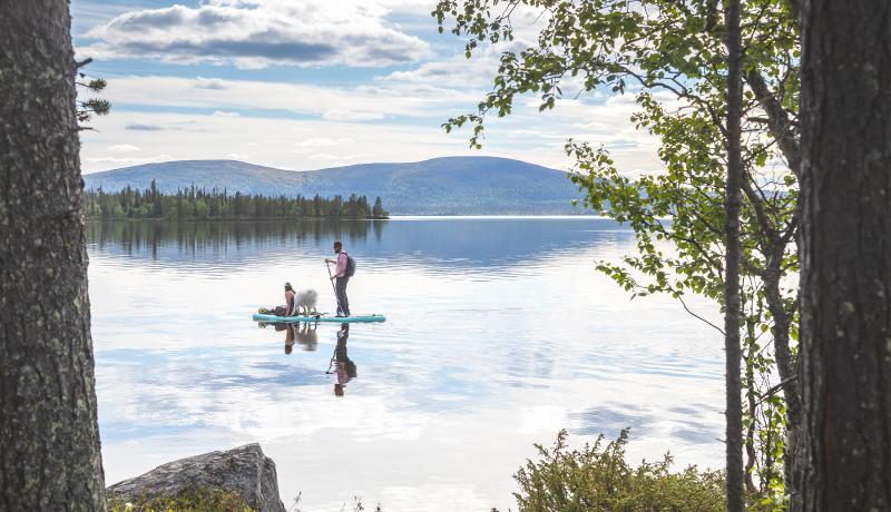 Sup-lautailijat Pallasjärvellä, taustalla Pallastunturit