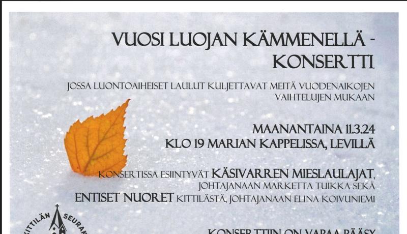 Mainos konsertista