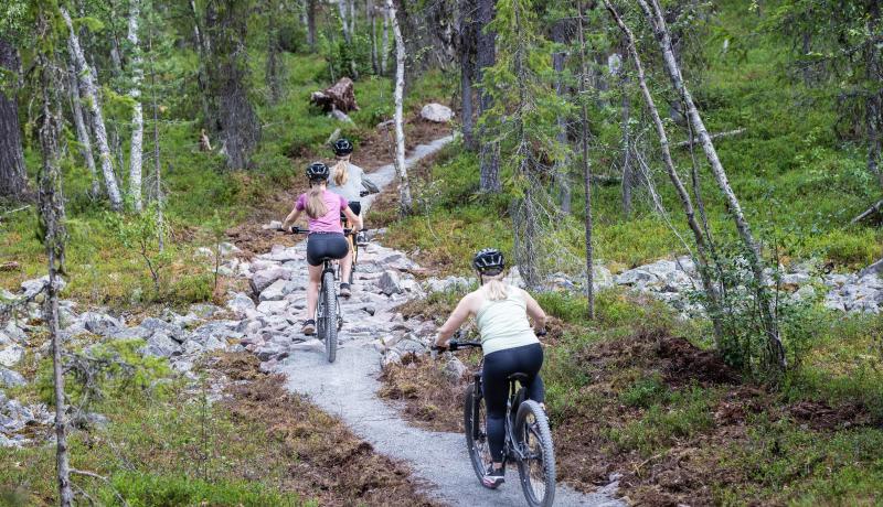 Kuvituskuva, pyöräilijöitä Rakkavaaran Mustikkamaan reitillä.