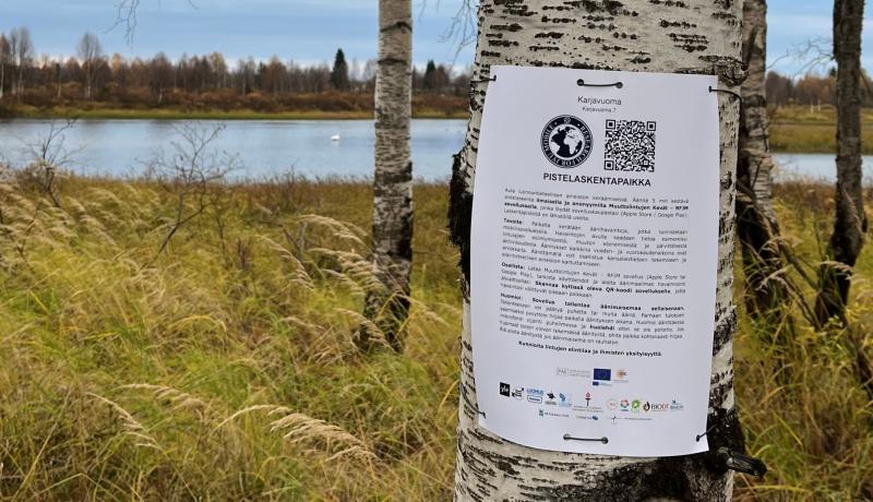 Pistelaskentapaikkakyltti Ukonpuljun reitillä puussa.